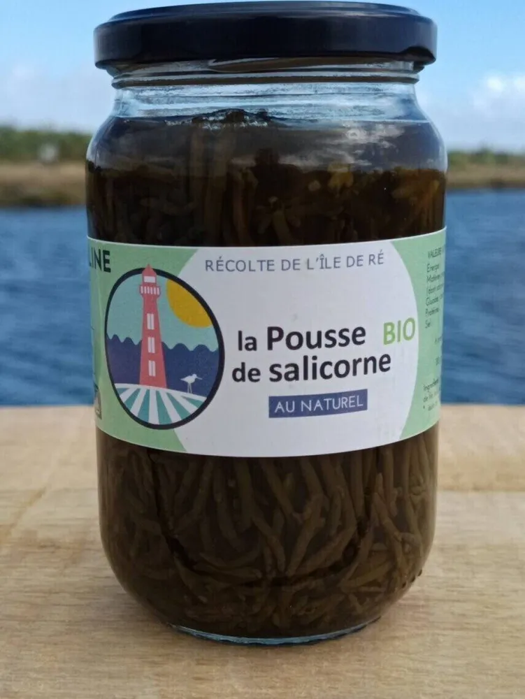 La pousse dd Salicorne