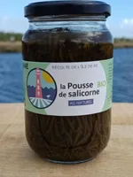 La pousse dd Salicorne