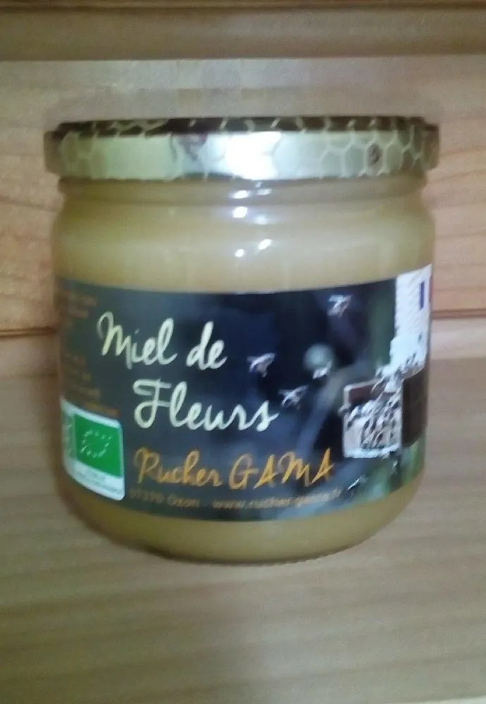 Miel de fleurs bio
