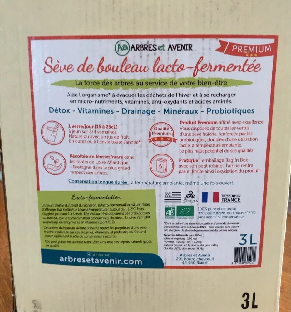 Sève de bouleau lacto-fermentée