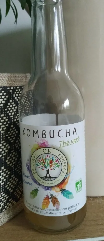 Kombucha (the vert)