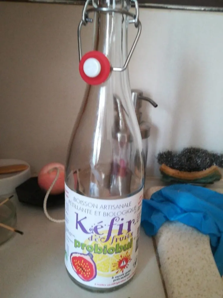 Kefir de fruits