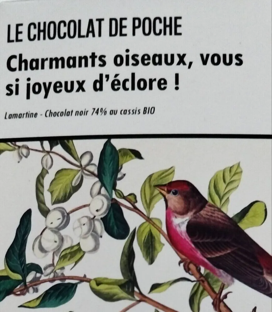 Chocolat noir 74% au cassis BIO