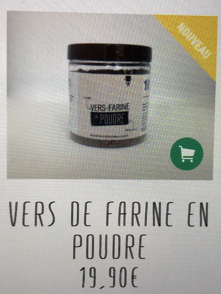 Vers de farine en poudre