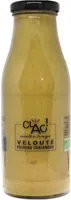 Velouté de poireau coriandre