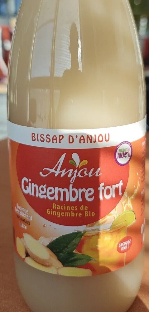 Gingembre Fort