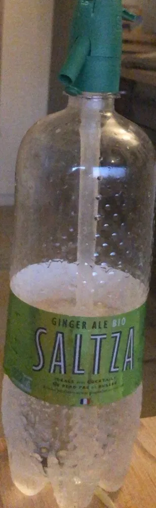 Ginger ale bio