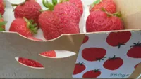 Fraises