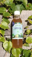 Kombucha Citron Vert Menthe