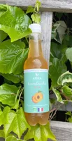 Kombucha Atika Pêche