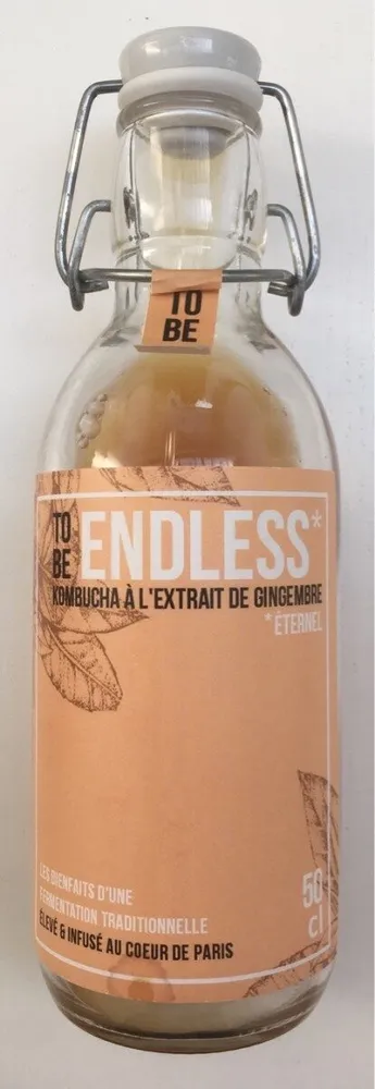 Endless
