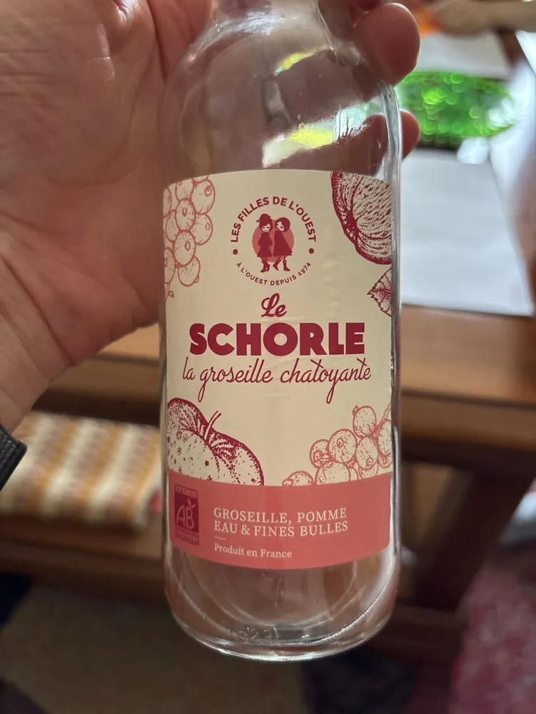 Le shorle la groseille chatoyante