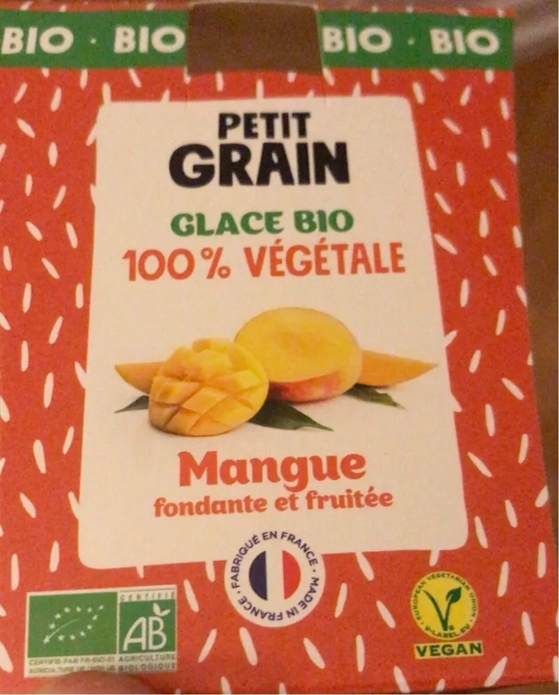 Glace bio vegetale mangue