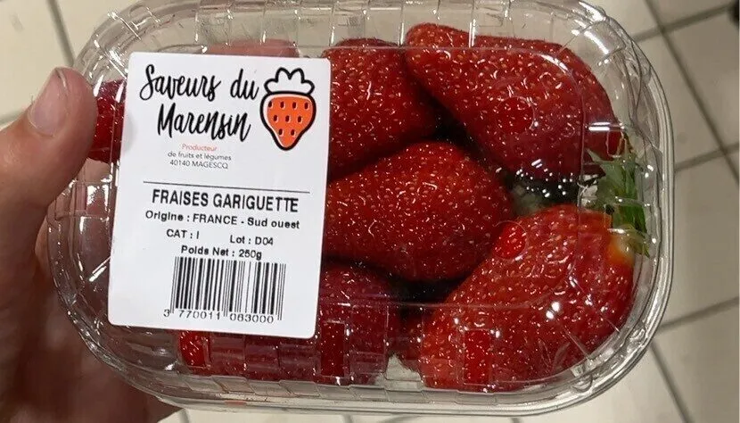 Fraises Gariguette