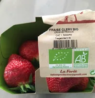 Fraise Dream Bio