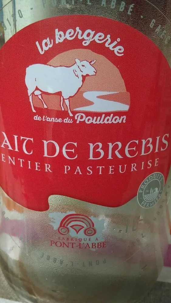 Lait de brebis entier pasteurisé