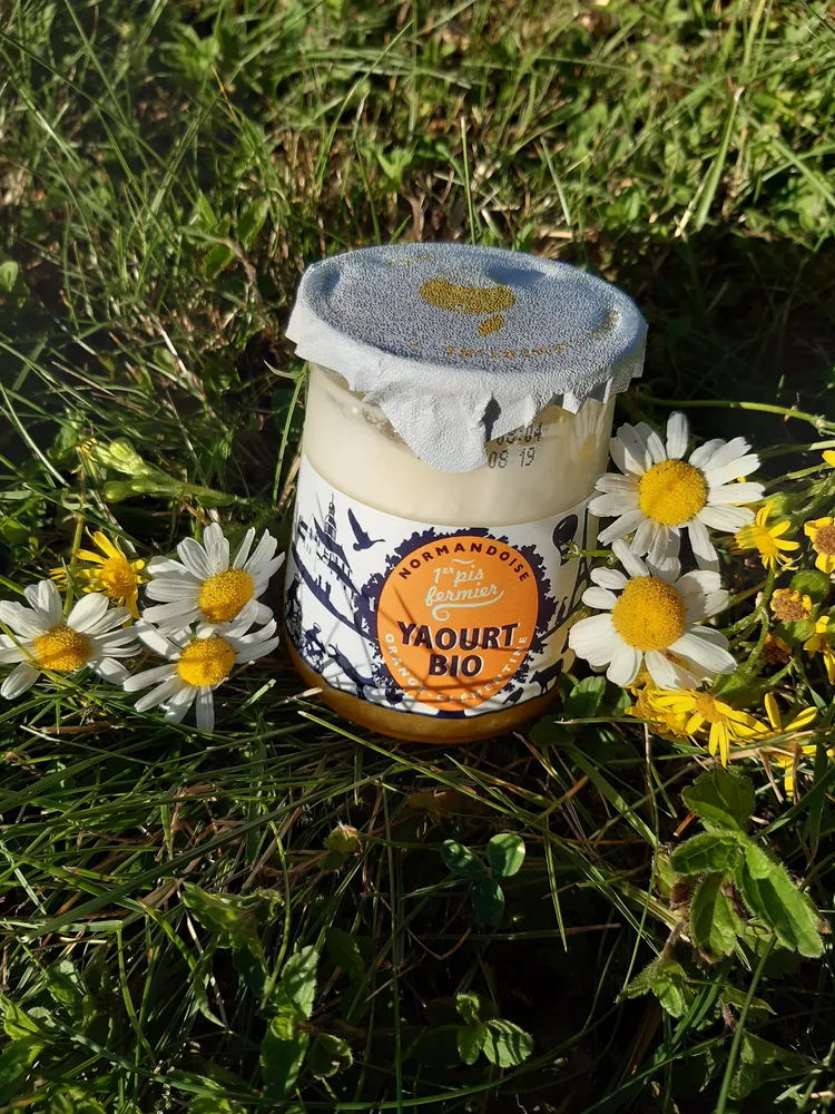 Yaourt bio orange-clémentine
