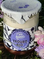 Yaourt bio myrtille-groseille
