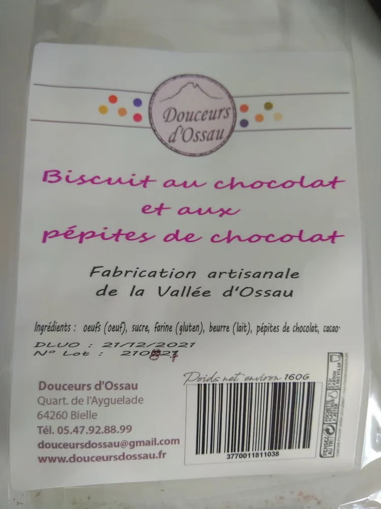 Biscuit au chocolat et aux pépites de chocolat