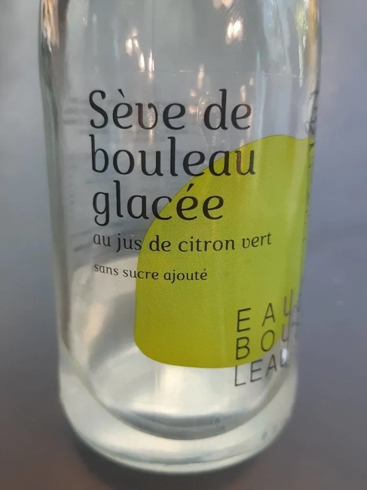 Sève de bouleau glacée citron vert
