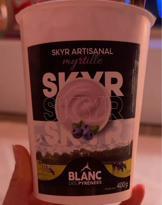 SKYR ARTISANAL myrtille