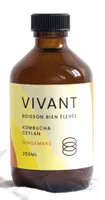 Kombucha Ceylan Gingembre