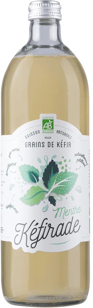 Kéfir d'eau et de fruit Menthe