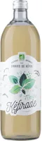 Kéfir d'eau et de fruit Menthe