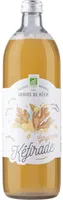 Kéfir d'eau et de fruit Gingembre