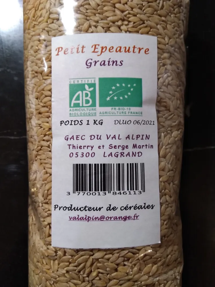 Spelt grains
