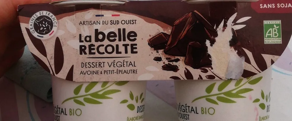 Dessert végétal chocolat