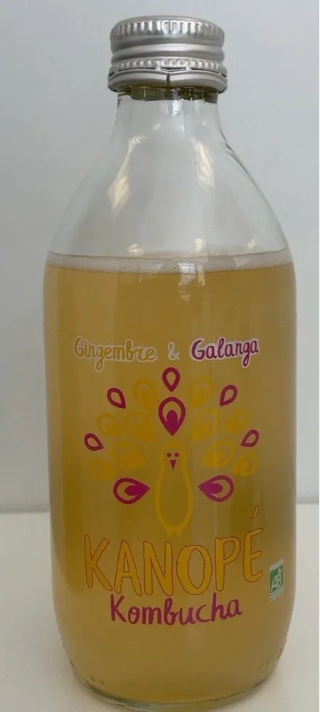 Kanopé Kombucha (gingembre & galanga)