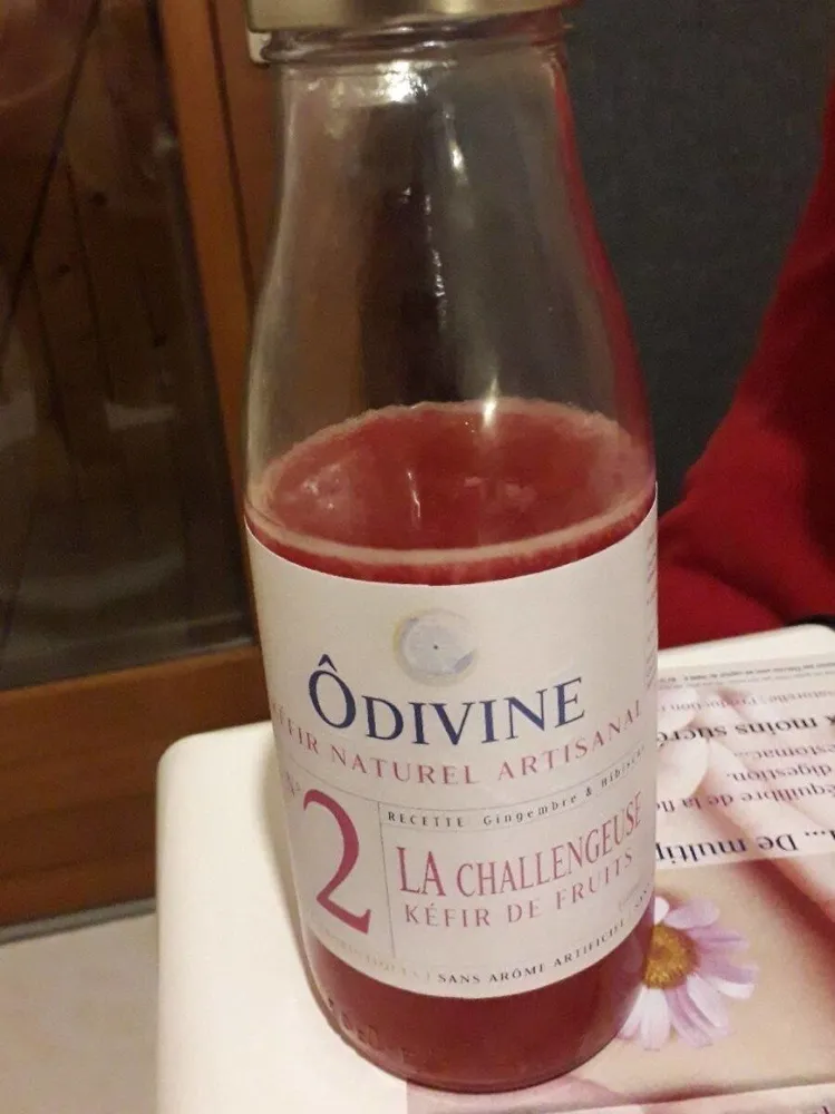 Kéfir naturel artisanale n°2