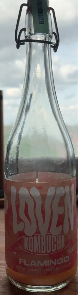 Kombucha Flamingo