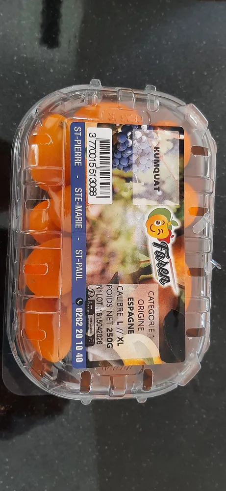 Kumquat