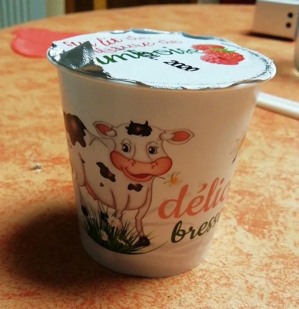 Yaourts au lait entier de vache