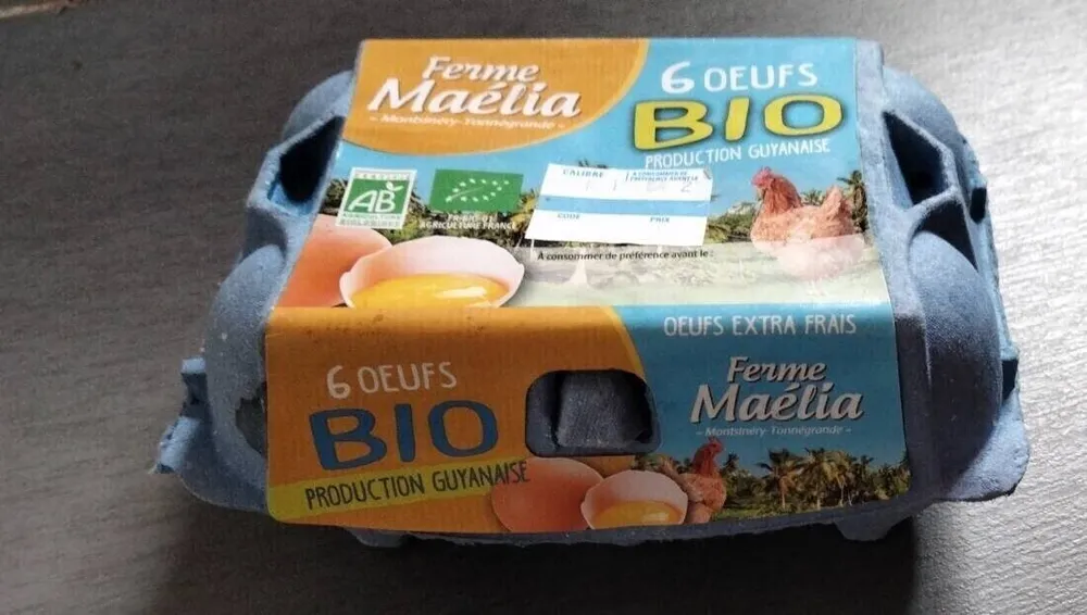 6 oeufs Bio Extra frais