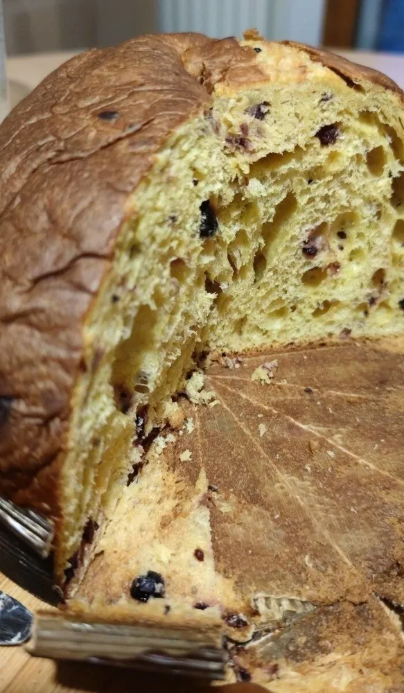 Panettone fruits des bois