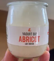 Yaourt bio abricot