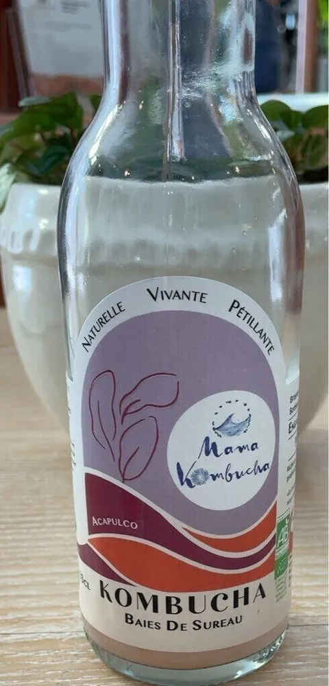 Kombucha baies de sureau