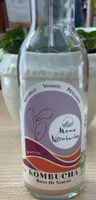 Kombucha baies de sureau