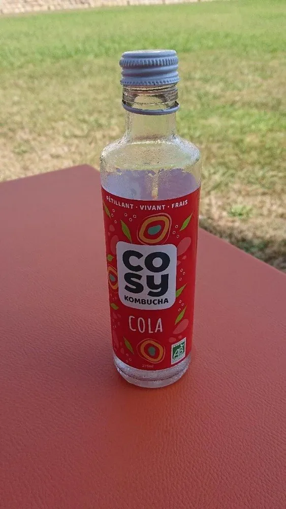 Cosy kombucha cola