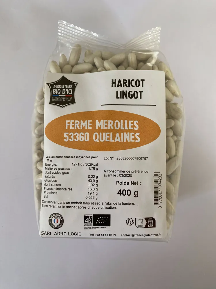 Haricot Lingot