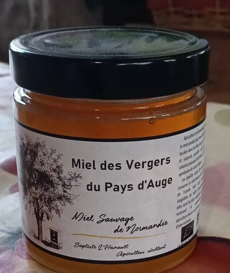Miel des verges du pays d'Auge