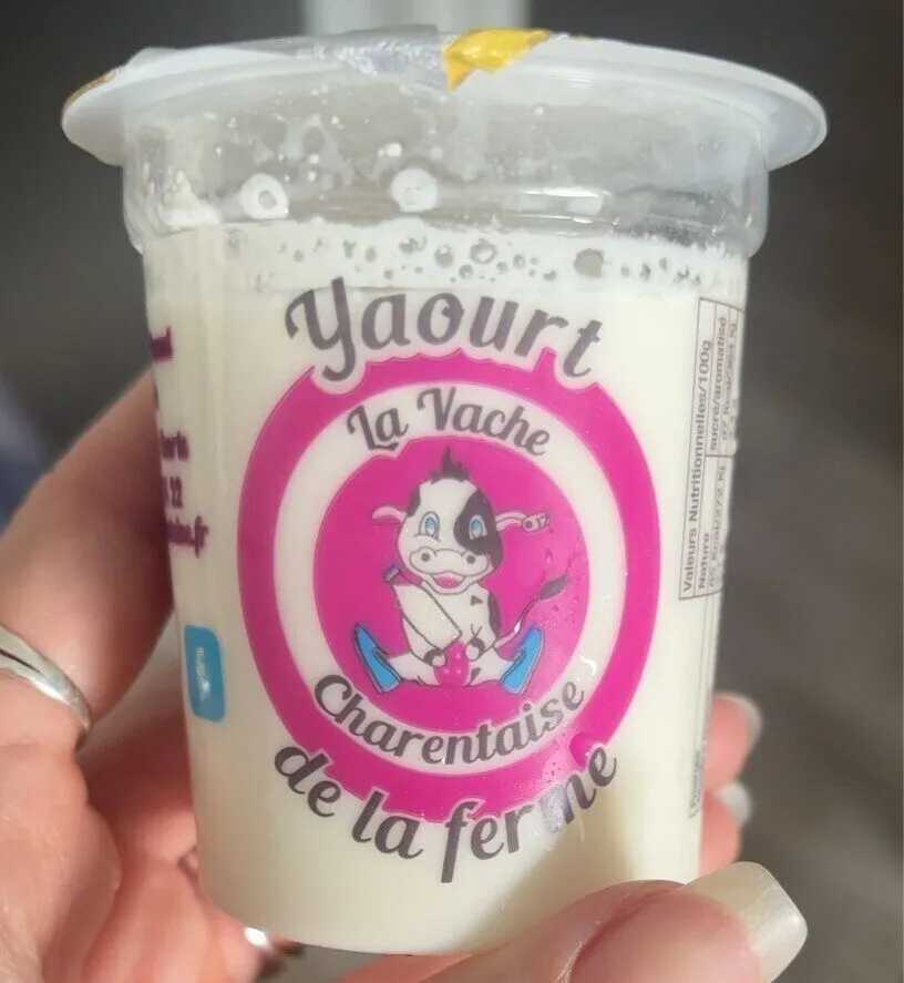 Yaourt la vache aromatisé