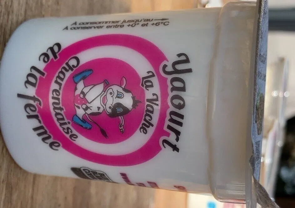 Yaourt aromatisé à la noix de coco