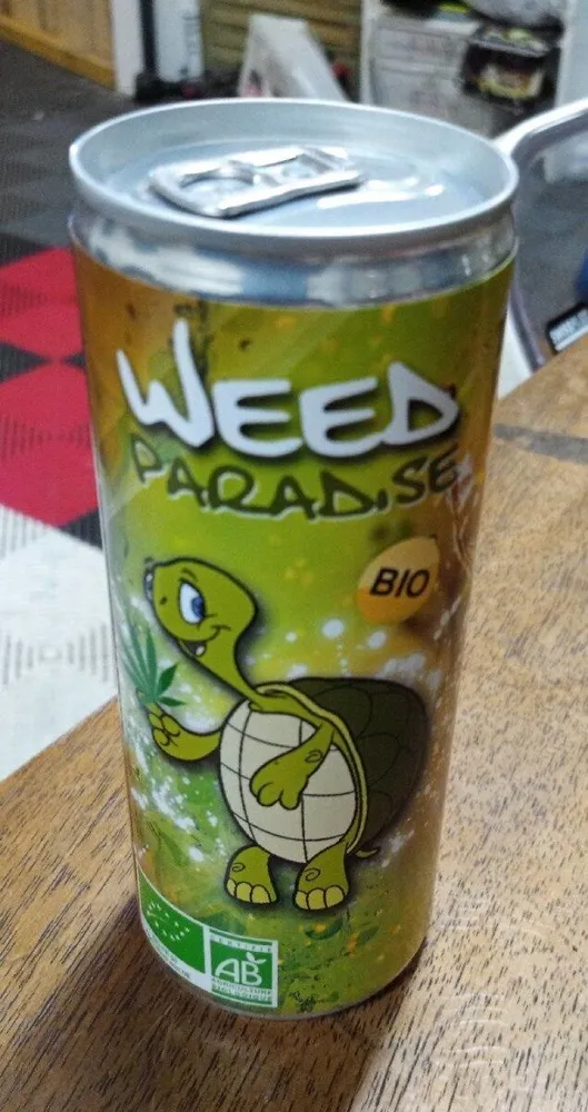 Thé vert bio
