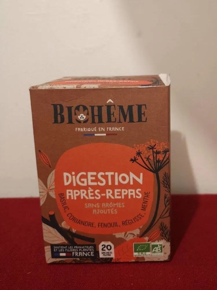 Digestion après repas