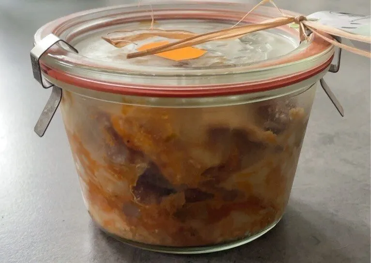 Lasagne de legume
