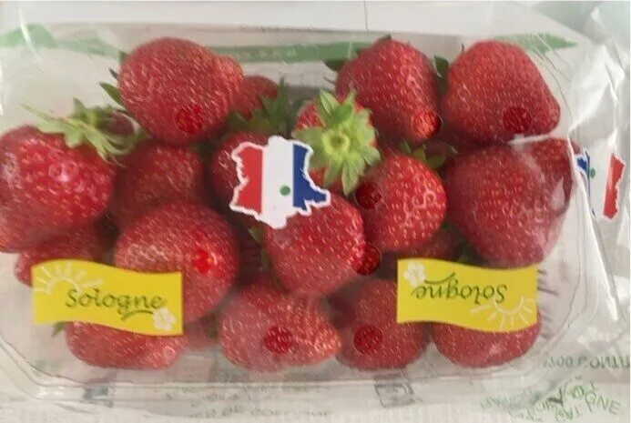 Fraises De Sologne
